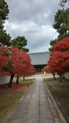妙顯寺（妙顕寺）(京都府)