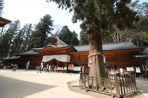 穂高神社本宮の本殿・本堂
