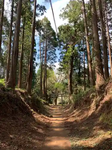 白山神社の鳥居