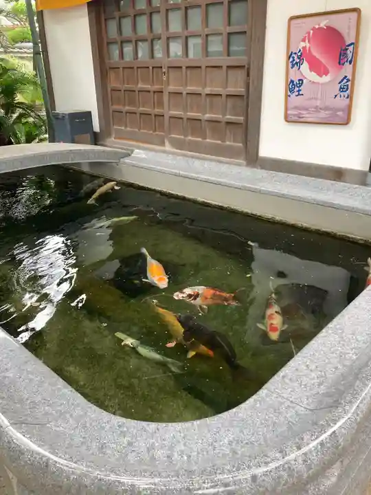 大聖観音寺(あびこ観音)(大阪府)