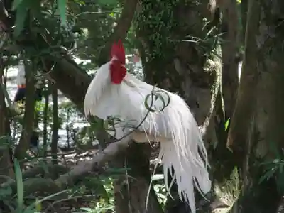 伊勢神宮内宮（皇大神宮）(三重県)