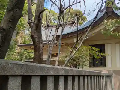 湊川神社(兵庫県)