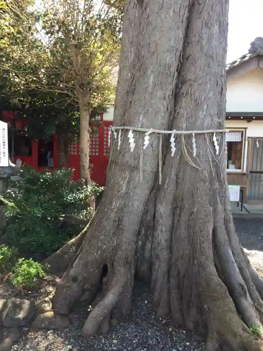 神館飯野高市本多神社の自然