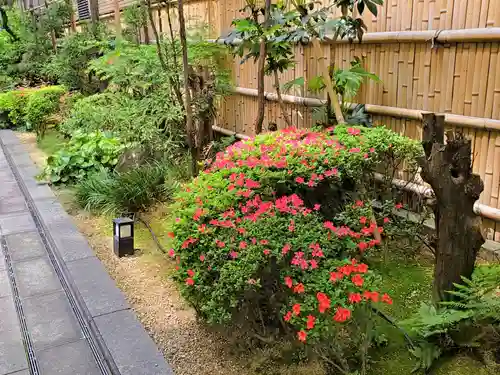 稲荷神社の自然