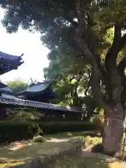 蒲田神社(大阪府)