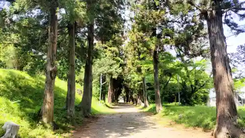 千代ケ岡八幡宮(栃木県)