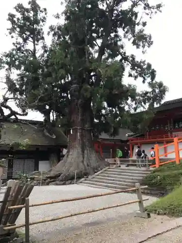春日大社のその他建物