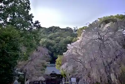 伊豆山神社(静岡県)
