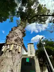 阿倍王子神社(大阪府)