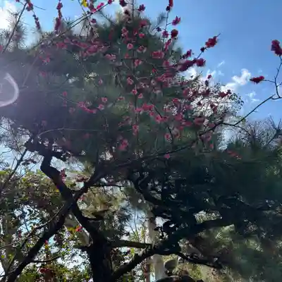 漢國神社(奈良県)