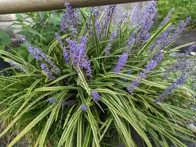 護国寺（山科檀林）(京都府)