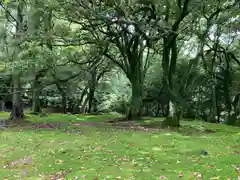 諭鶴羽神社(兵庫県)