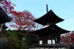 善峯寺(京都府)