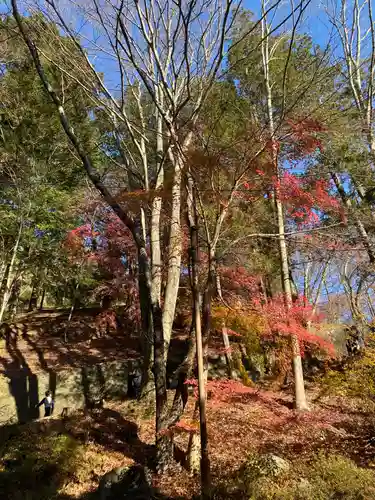 新倉富士浅間神社の自然