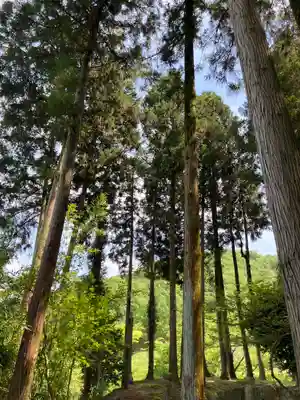 妙巌寺のその他建物