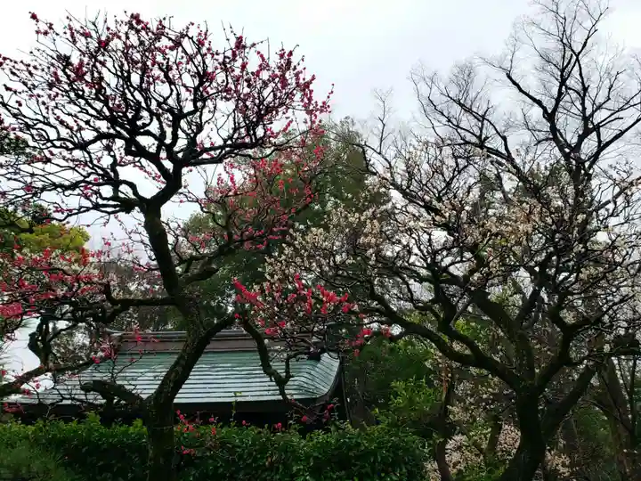 布多天神社(東京都)