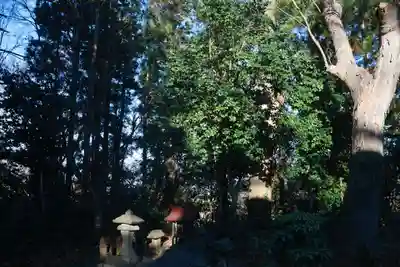 阿久津「田村神社」(郡山市阿久津町)旧社名:伊豆箱根三嶋三社の末社・摂社