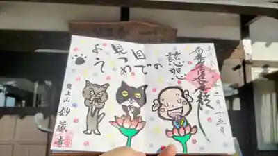 妙蔵寺の御朱印