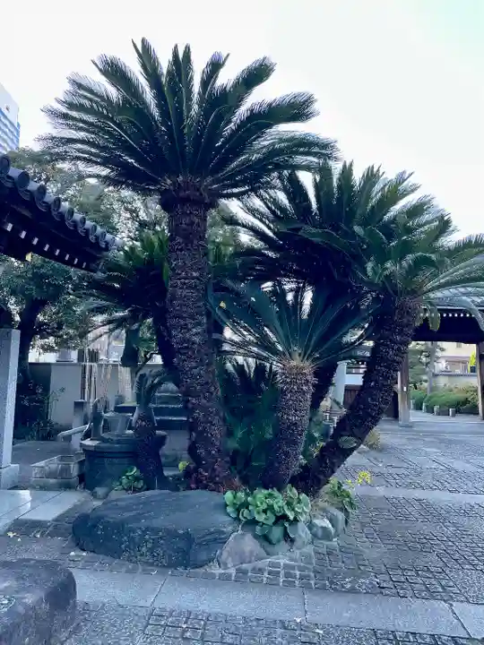 浄蓮寺(神奈川県)