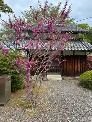 萬徳寺(福井県)