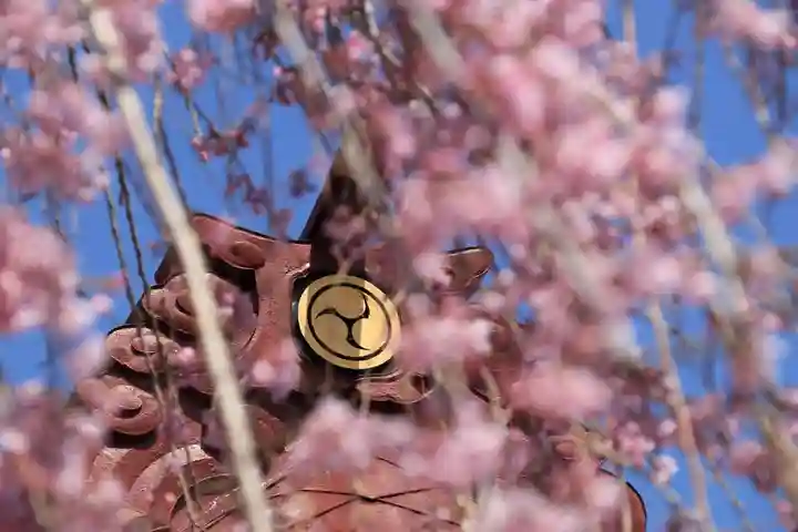 大鏑神社の自然