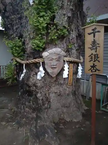 押切稲荷神社の自然