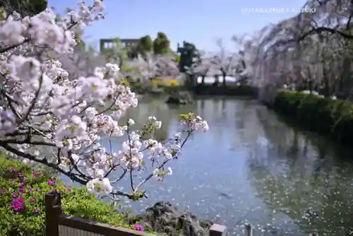 三嶋大社(静岡県)