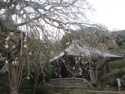 海蔵寺のその他建物