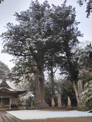 松山神社(千葉県)
