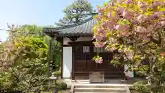 本満寺（本願満足寺）(京都府)