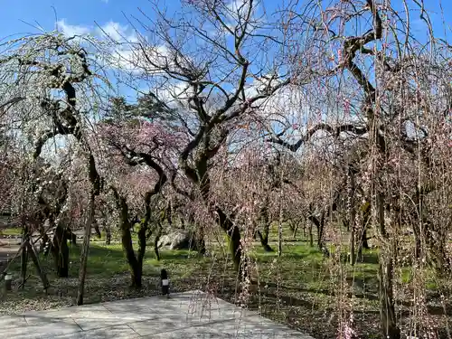 北野天満宮(京都府)