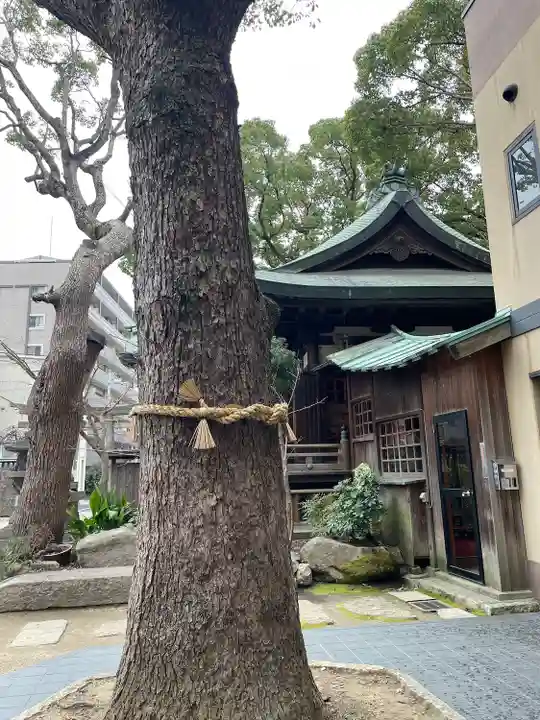 海老江八坂神社の自然