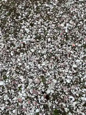 網走神社(北海道)