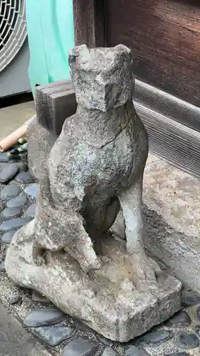 榎稲荷神社の狛犬