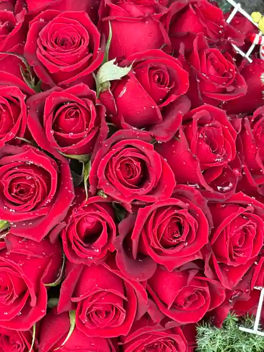 上尾御嶽神社(埼玉県)