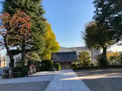 東円寺(東京都)