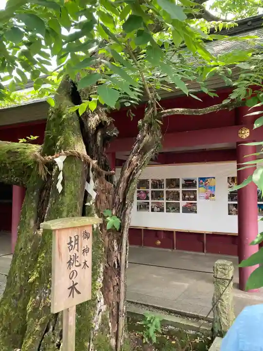 笠間稲荷神社(茨城県)