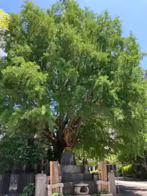 回向院(東京都)