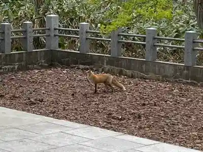 砂川神社(北海道)