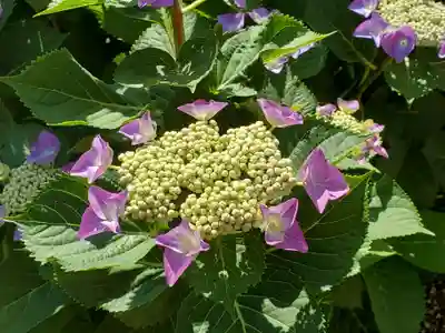 稲荷神社の自然