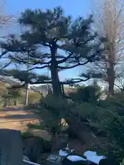 赤城神社(群馬県)