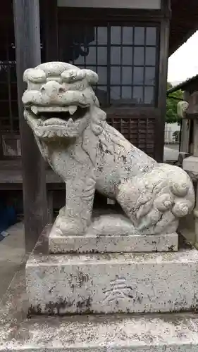 金剛院の狛犬