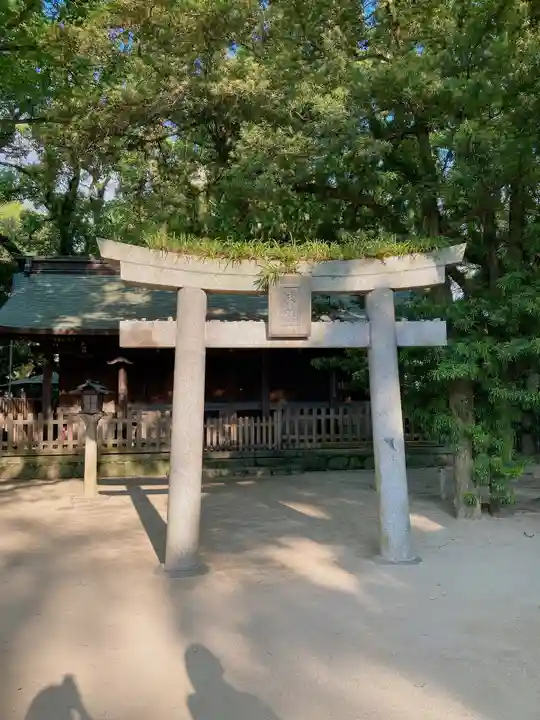 筥崎宮(福岡県)