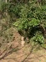 天満宮(千葉県)