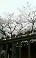 観福寺(前川観音)(埼玉県)