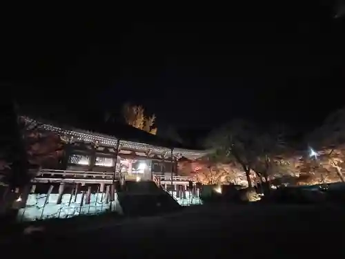 醍醐寺(京都府)