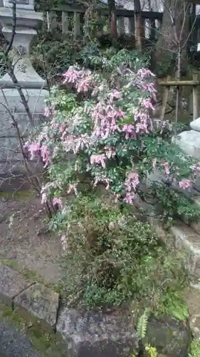 長岡天満宮の自然
