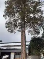 瑞川寺(岩手県)