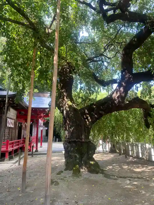 小川諏訪神社(福島県)