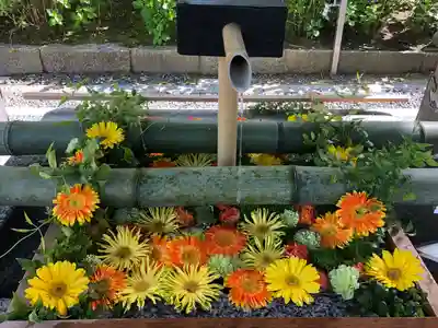 白山神社(新潟県)